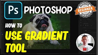 Photoshop How To Use Gradient Tool [upl. by Ahcsat738]