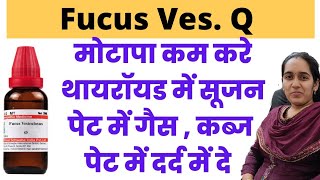 Fucus Vesiculosus q uses in hindi  Fucus Ves mother tincture  Fucus Ves q for weight loss [upl. by Thad]