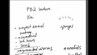 PB2 LT review Sponges and annelids CH 19 [upl. by Inaniel]