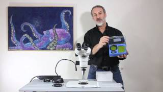 Adding fluorescence to a conventional stereo microscope [upl. by Oman]