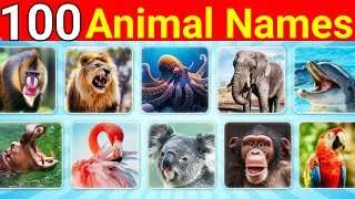 100 Animal Names  100 Amazing Animal Names for Kids  Learn Animal Names in English [upl. by Nattie]