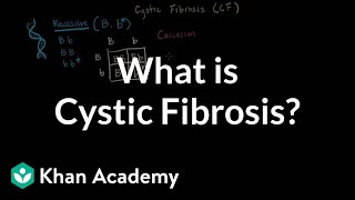 What is cystic fibrosis  Respiratory system diseases  NCLEXRN  Khan Academy [upl. by Aniad]