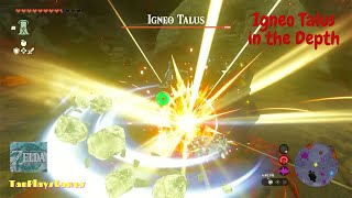 All Igneo Talus in Depth Location  Zelda Tears of The Kingdom [upl. by Estis875]