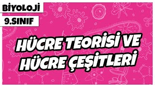 9 Sınıf Biyoloji  Hücre Teorisi ve Hücre Çeşitleri [upl. by Attenrev]