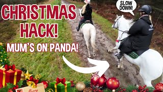 A VERY FAST CHRISTMAS HACK  MUM RIDES PANDA [upl. by Nhguavoj]