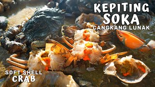 Pertama Kali MAKAN KEPITING SOKA Daging Tok dimasak MIE ACEH [upl. by Lewej]