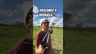 QUAL BALADEIRA DETONA A BERINJELA🍆 humor comedia desafio [upl. by Eiramanna]