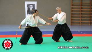 Bruno Gonzalez Aïkido Summer Seminar Rosheim 2014 HD [upl. by Lrigybab]