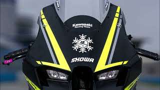 UNVEILED 2024 Kawasaki Ninja ZX 10RR Winter Test Edition [upl. by Alleris]