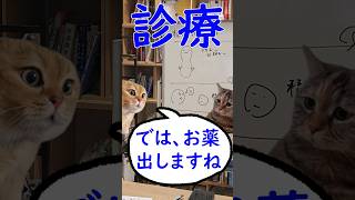 とある精神科医の1日 猫ミーム日常 [upl. by Amabelle]