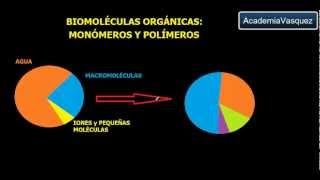 Biomoléculas Orgánicas Monómeros y Polímeros [upl. by Horsey110]