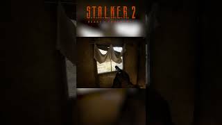 😂 Stalker 2 Developers Added This To Make Fun Of Us stalker2 [upl. by Alage545]