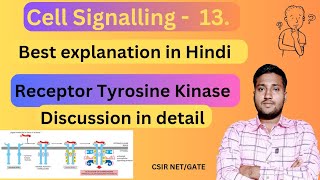 Receptor Tyrosine Kinase  Receptor Tyrosine Kinase Pathway  RTK Pathway [upl. by Aracat799]