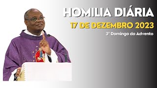 HOMILIA DIÁRIA  3º Domingo do Advento [upl. by Anawaj]