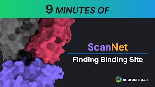 ScanNet  Calculating Protein Binding Site amp Interaction Site Probabilities  Full Tutorial [upl. by Eniamej639]