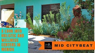 A Look into Holistic and Wellness Centers in Merida Yucatan [upl. by Munroe]