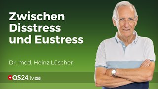 Zwischen Disstress und Eustress Gesundheitliche und psychische Stressfolgen  QS24 [upl. by Glorianna]