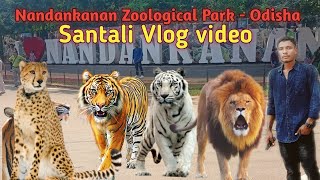 Nandankanan Zoological Park  bhubaneswar odishaSantali Vlog videonewsantalivlogstarash official [upl. by Ddene]