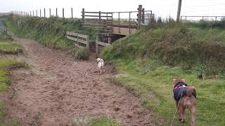 The beach near Sellafield [upl. by Bigner]