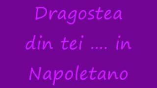 IN NAPOLETANO quotDragostea din teiquot [upl. by Ynnoj]