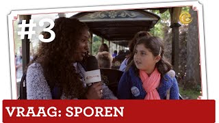 Hoeveel meter spoor ligt er in de Efteling  Vraag t de Efteling [upl. by Dleifxam]