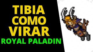 Tibia Como Virar Royal Paladin [upl. by Atniuq]