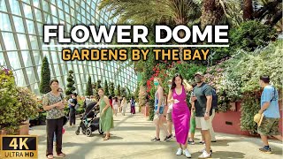 FLOWER DOME At Gardens By The Bay  Morning Walking Tour 4K Singapore  June 2022 [upl. by Eelam605]