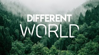 Alan Walker  Different World Lyrics Video ft Sofia Carson K391 CORSAK [upl. by Ashling735]