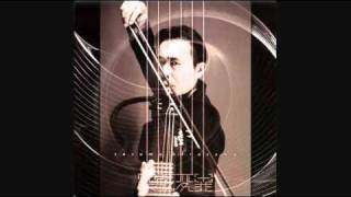 Susumu Hirasawa  WIRESELF Kangenshugi Version [upl. by Nnyloj548]