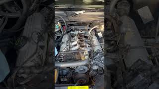 Playing with my 1998 VT commodore engine  Ecotec 38L shortsvideo [upl. by Anerok]