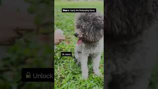 How to use HYSSES FurryCare Detangling Spray [upl. by Jacenta]