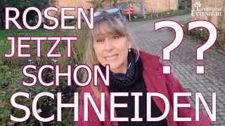 Rosen schneiden im Frühjahr 🌷✂️  Teil 1 [upl. by Middle]