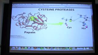 13 Biochemistry Catalytic Mechanisms II Lecture for Kevin Aherns BB 450550 [upl. by Oiratno397]