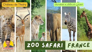 France Zoo Safari Thoiry  Lumieres Sauvages  Château de Thoiry  பிரான்ஸ் உயிரியல் பூங்கா [upl. by Anzovin]