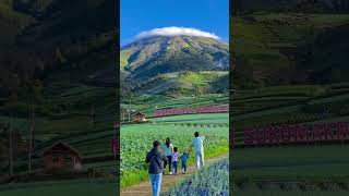 Amazing wisata Magelang 2024 shorts fyp videoviral reelsbaru kaliangkrik [upl. by Osnohpla]