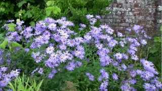 Abbey Dore Court Gardens near Hereford  Herefordshire Attractions [upl. by Vanni]