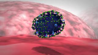 Influenza Get the Antigenic Drift [upl. by Ettesel]