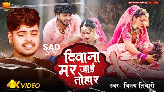 Video  दिवाना मर जाई तोहार  Vinay Tiwari  Deewana Mar Jai Tohar  New Bhojpuri Sad Songs 2024 [upl. by Ahsienat]