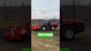 Antonio Carraro Orchard Tractor with Mulcher orchard agriculture redtractor [upl. by Yecad]