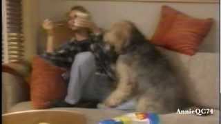 Hayden Panettiere Lizzie Scene10B quotHarley Not Facing Fears Very Wellquot [upl. by Gnehc]