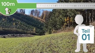 100 Meter Teil 1 v   Wiese amp Waldrand im November  Wildkräuter sammeln amp nutzen [upl. by Adnilym320]