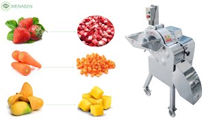 MNS800 Nata de coco Dicing Machine [upl. by Deni448]