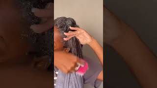 Detangling 4c hair ✨ go off coils 4chair natural detangling haircare howtogrownaturalhair [upl. by Nillor160]