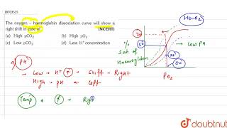 The oxygen  haemoglobin dissociation curve will show a right shift in case of [upl. by Lenahs566]