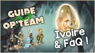 GUIDE OPTEAM  DOFUS IVOIRE amp FàQ [upl. by Hanimay]