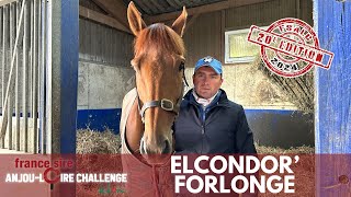 Jerry Planque présente ElcondOr Forlonge dans le France Sire Anjou Loire Challenge [upl. by Dulla247]