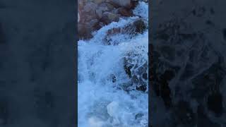 Crossing Heliotrope Creek waterfall pnw nature [upl. by Palestine155]