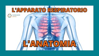 LAPPARATO RESPIRATORIO  LANATOMIA  INFERMIERI Online [upl. by Suiramad]