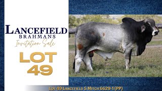 Lot 49 Lancefield S Mitch 66291 PP [upl. by Symon]