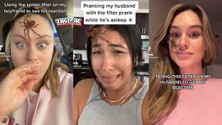 Spider Filter Prank On My Boyfriend  Gone Wrong [upl. by Loretta873]